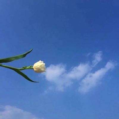 胜利之吻游戏试玩版下载